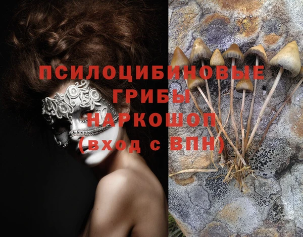 мдпв Карталы