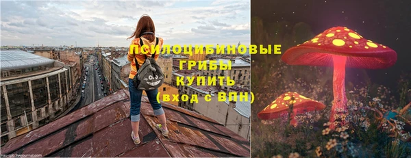 мдпв Карталы