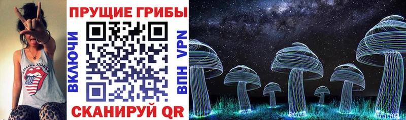 Псилоцибиновые грибы GOLDEN TEACHER  Купить  Ворсма 